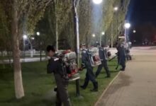 Астанада маса мен шыбын‑шіркейге қарсы өңдеудің төртінші кезеңі: 10 мың га өңделді