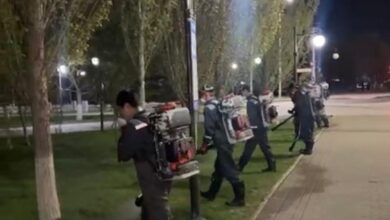 Астанада маса мен шыбын‑шіркейге қарсы өңдеудің төртінші кезеңі: 10 мың га өңделді