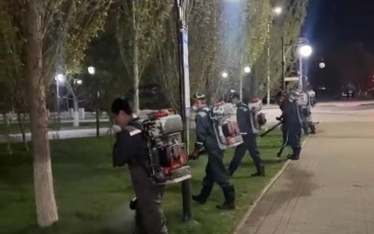 Астанада маса мен шыбын‑шіркейге қарсы өңдеудің төртінші кезеңі: 10 мың га өңделді