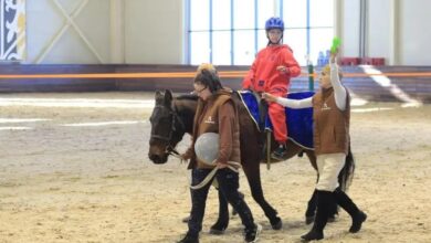 Иппотерапия в Астане: более 500 горожан прошли занятия с начала 2026 года