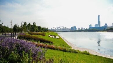 Астана: абаттандыру және көгалдандыру жобалары қала келбетін қалай өзгертуде