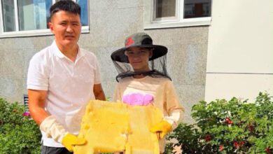 Омарта, гидропоника, мектеп кафесі: Астанада №96 гимназияда жаңа жоба басталды
