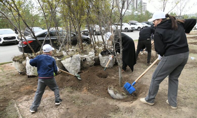 Есіл ауданында мыңдаған ағаш пен бұта отырғызылып, аула абаттандырылды