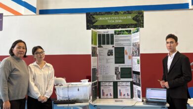 AI арқылы ауа сапасын бақылау — Астананың №101 мектебі Zayed Prize финалына өтті
