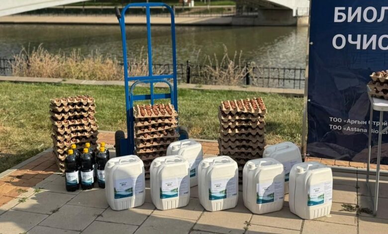 Ақбұлақ жылғасын тазарту: елордада биологиялық тазарту жұмыстары жалғасуда