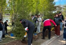 Таза Қазақстан: Астанада қалалық күзгі экологиялық айлық басталды