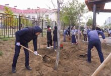 Астанада жаңадан абаттандырылған аллеяға 250 көшет отырғызылды