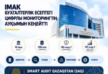ІМАК: бухгалтерлік есептегі цифрлы мониторингтің ауқымы кеңейді