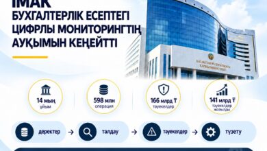 ІМАК: бухгалтерлік есептегі цифрлы мониторингтің ауқымы кеңейді