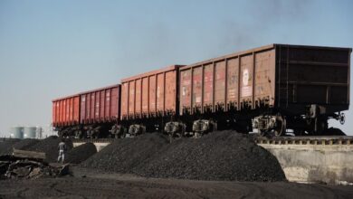 Астанада көмір сату орындары мен бағалары анықталды
