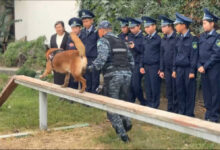 «Жас сақшы» кадеттері Жетісу полициясының жұмысымен танысты