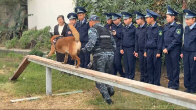 «Жас сақшы» кадеттері Жетісу полициясының жұмысымен танысты
