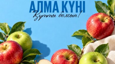 Қазақстанда алма өндірісі артып, «Апорт» сортын қайта дамыту жалғасуда