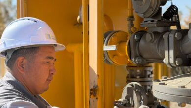 Жетісу облысының бес ауылы табиғи газға қосылды