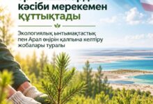 Қазақстан мен АҚШ Аралды қалпына келтіру және ормандарды қорғау бағытында бірлесіп жұмыс істеуде