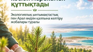 Қазақстан мен АҚШ Аралды қалпына келтіру және ормандарды қорғау бағытында бірлесіп жұмыс істеуде