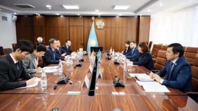 Сүлейменова Қытай елшісімен білім беру ынтымақтастығын талқылады