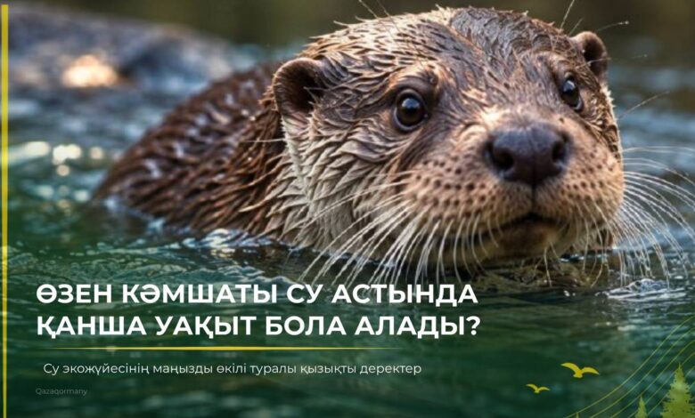 Өзен кәмшатының су астындағы мүмкіндіктері мен ерекшеліктері