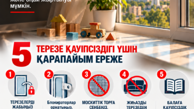 Терезеден құлаудың алдын алу: қауіпсіздік үшін тексерілетін 5 маңызды жайт