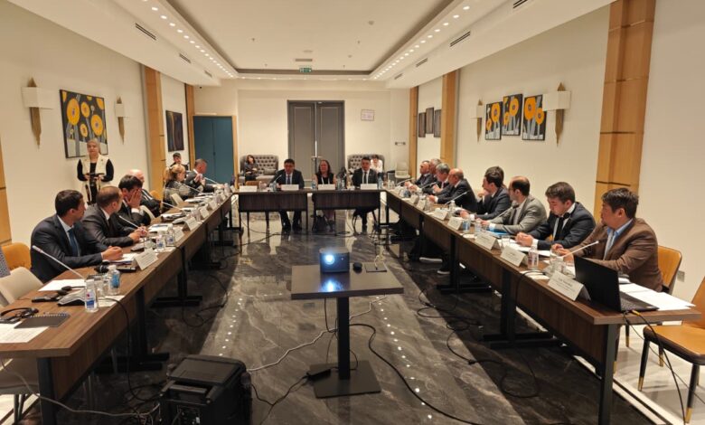 Орталық Азияға арналған бірыңғай сейсмикалық нормалар әзірлеу жөнінде халықаралық кеңес өтті
