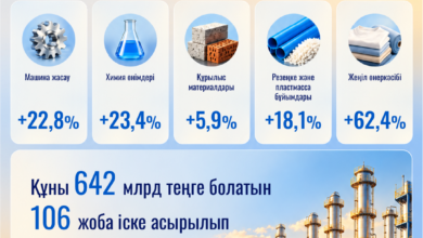 Өңдеу өнеркәсібінде өндіріс 8,6%-ға өсті