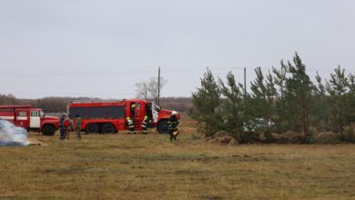 Қазақстан мен Ресей шекарасында табиғи өртке қарсы бірлескен оқу-жаттығу өтті