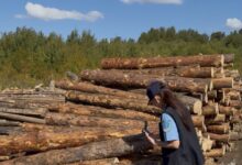 Карантиндік зиянкестер анықталған өнімдер Қазақстанға кіргізілмеді