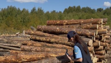 Карантиндік зиянкестер анықталған өнімдер Қазақстанға кіргізілмеді