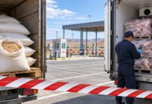 Қауіпті карантиндік объектілердің кіруіне барлық ынамдау тоқтатылды