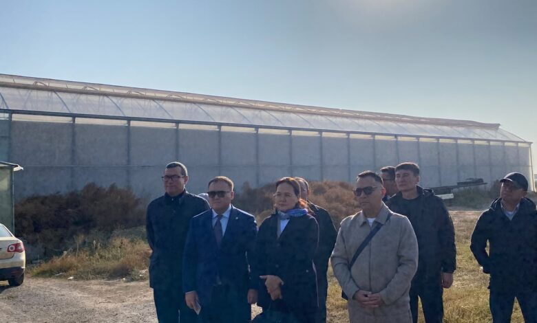 Қазақстан мен Өзбекстан атмосфералық ауа сапасын жақсарту мәселесін талқылады