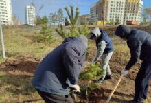 Республика күніне орай еліміздің барлық өңірінде экологиялық акция өтті