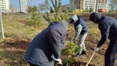 Республика күніне орай еліміздің барлық өңірінде экологиялық акция өтті