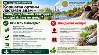Қоршаған ортаны ластағандар зиянды түлектеуге міндетті: Экологиялық кодекс не дейді