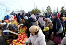Астанада ауыл шаруашылығы жәрмеңкесінде екі облыстың 140-тан астам өндірушісі тауар ұсынды