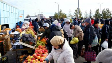 Астанада ауыл шаруашылығы жәрмеңкесінде екі облыстың 140-тан астам өндірушісі тауар ұсынды