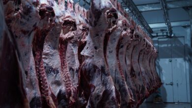 Қазақстанда ет өндірісі 846,5 мың тоннаға жетті