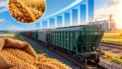Теміржол арқылы астық тасымалдау 9 айда 12%-ға өсіп, 10,8 млн тоннаға жетті