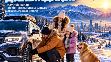 ТЖМ: автокөлікті қысқа дайындау және жолдағы қауіпсіздік шаралары