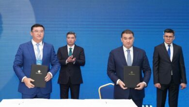 Түркістан облысында 111,1 млн долларлық ет кластері салынады