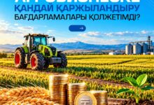 Агробизнеске арналған қаржыландыру бағдарламалары: негізгі шарттар мен талаптар