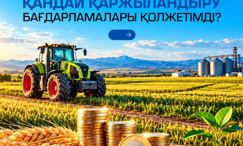 Агробизнеске арналған қаржыландыру бағдарламалары: негізгі шарттар мен талаптар